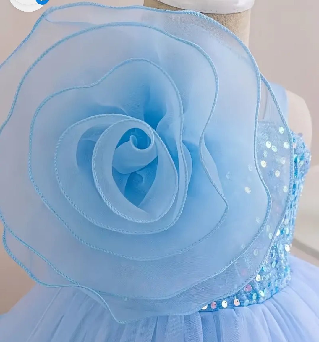 Robe en tulle sans manche à fleurs pour bébé fille.Robe de baptêmes, anniversaire princesse - CarlastoreRobe en tulle sans manche à fleurs pour bébé fille.Robe de baptêmes, anniversaire princesseCarlastoreCarlastore