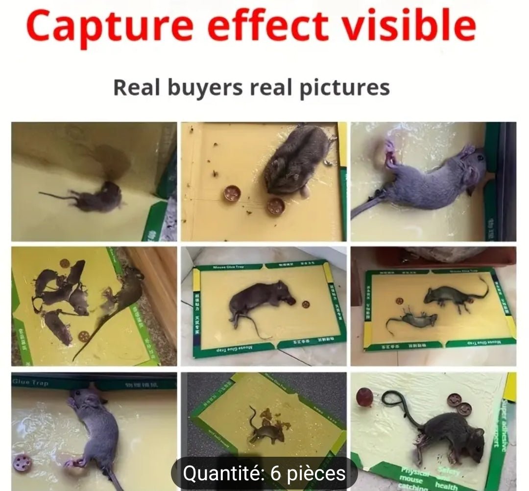 Paquet de 6 pieges collant de souris et insectes contrôle des rongeurs sans électricité, outil de lutte contre les nuisible à domicile,indispensable pour l'appartement et les dortoirs ,en papier,sans besoin d'énergie - CarlastorePaquet de 6 pieges collant de souris et insectes contrôle des rongeurs sans électricité, outil de lutte contre les nuisible à domicile,indispensable pour l'appartement et les dortoirs ,en papier,sans besoin d'énergieCarlastoreCarlastore