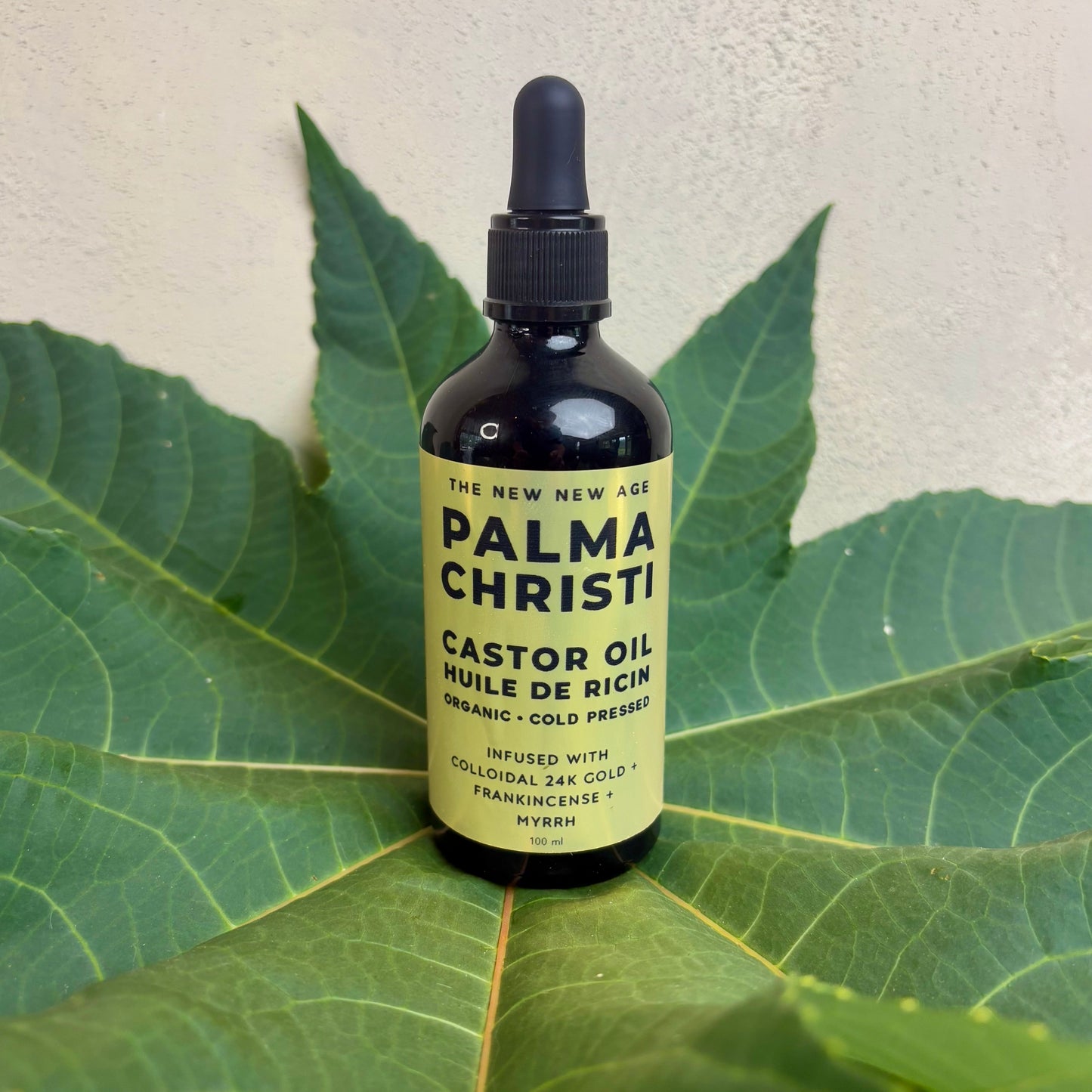 PALMA CHRISTI: CASTOR OIL
