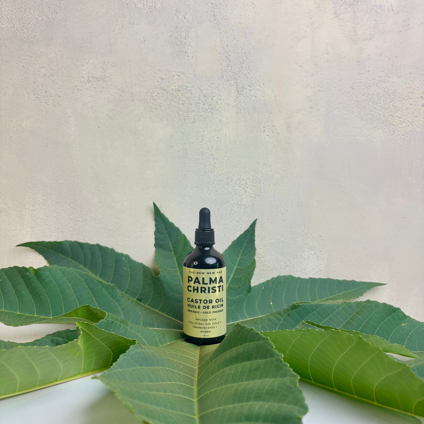 PALMA CHRISTI: CASTOR OIL