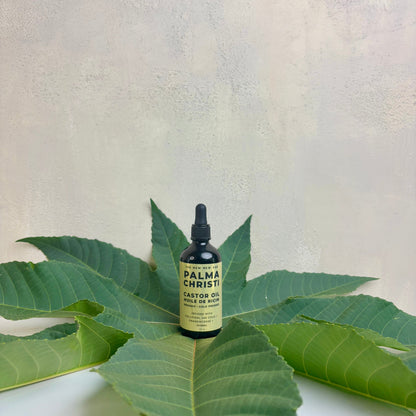 PALMA CHRISTI: CASTOR OIL