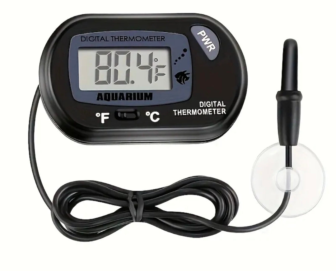 Thermomètre